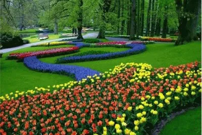 jardim da holanda jigsaw puzzle