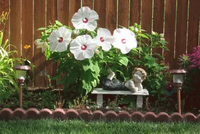 Flowers jigsaw puzzle