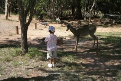 feeding the deer jigsaw puzzle