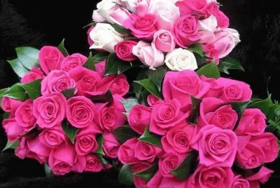 flores jigsaw puzzle