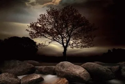 paisagem jigsaw puzzle