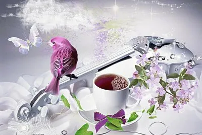 Musica
