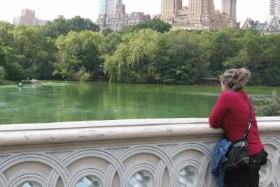 bay bridge central park jigsaw puzzle