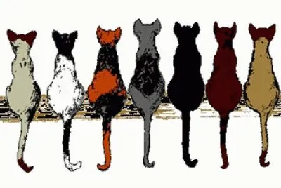 Gatos