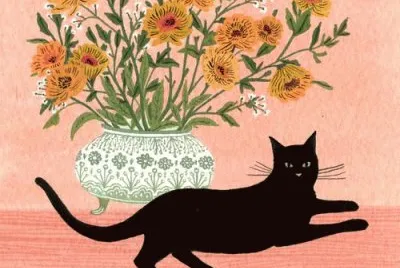 Gatos
