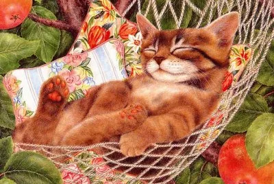 Gatos