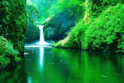 naturaleza y agua