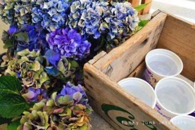 Purple Hydrangeas