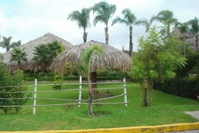 palapas jigsaw puzzle
