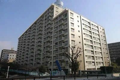 FaraÃ³n jigsaw puzzle