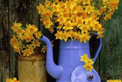 33 jigsaw puzzle