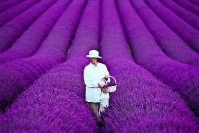 Odeur de provence france