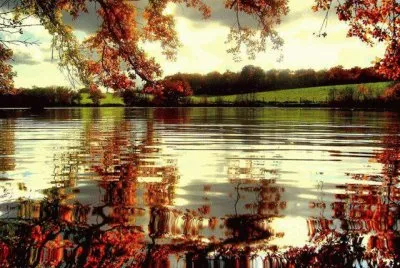 paisagem jigsaw puzzle