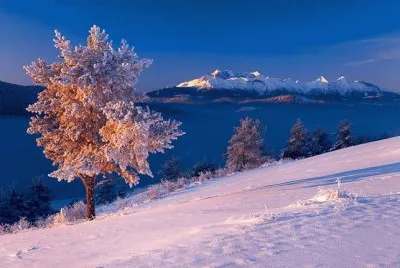 nevada jigsaw puzzle