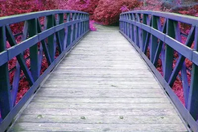 puente 1