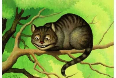 Gatos