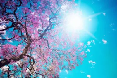 sol del desierto