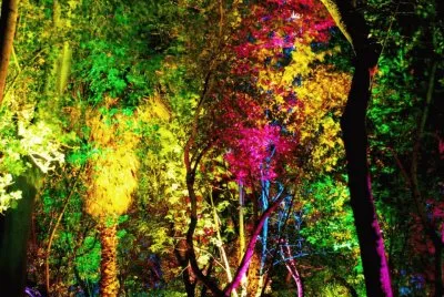 colores