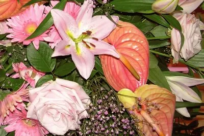 Flors