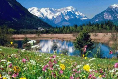 paisaje jigsaw puzzle