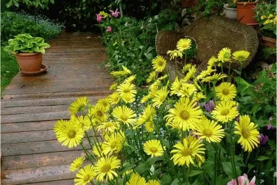 JardÃ¬