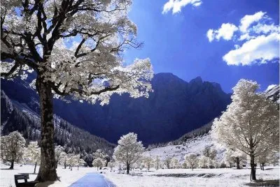 winter beauty-144