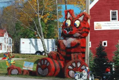 Hay bale cat