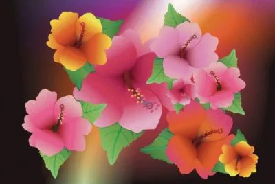 Flores 4