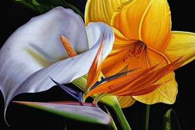 flores 5