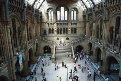 FaraÃ³n jigsaw puzzle