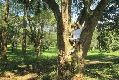 JARDIM BOTANICO - SP jigsaw puzzle