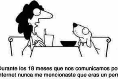curios