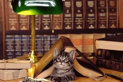 libri