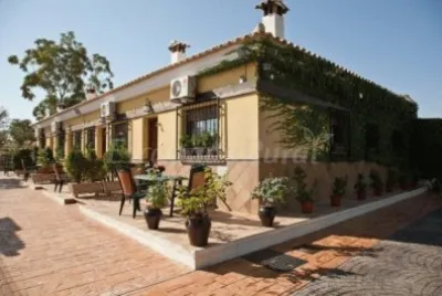 FaraÃ³n jigsaw puzzle