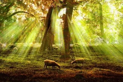 paisagem jigsaw puzzle
