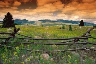 10 jigsaw puzzle