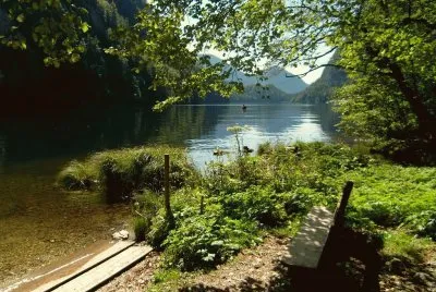 A bench at the lake jigsaw puzzle