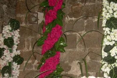 Temps de Flors 2011