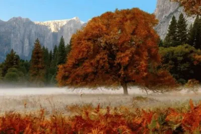 Yosemite