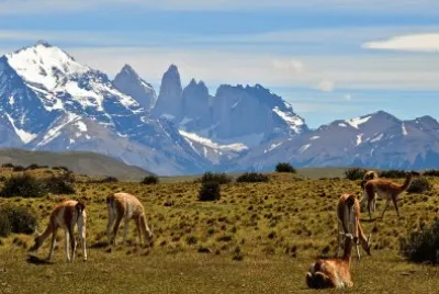 chile