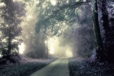 Out into the misty lane