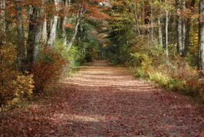 Autumn on the Trail