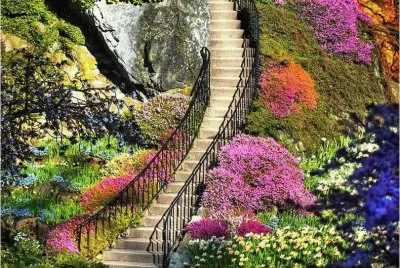 flowery steps