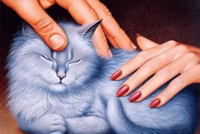 Gatos
