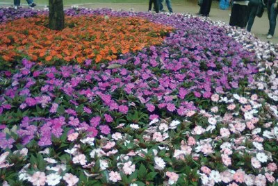 Jardins em Holambra - SP