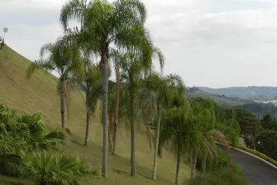 A caminho de São Roque - SP jigsaw puzzle