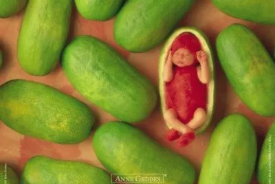boccioli
