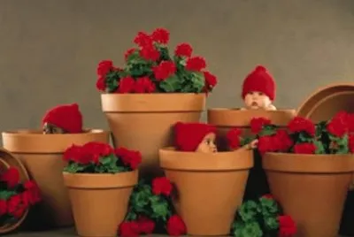 boccioli
