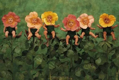 boccioli