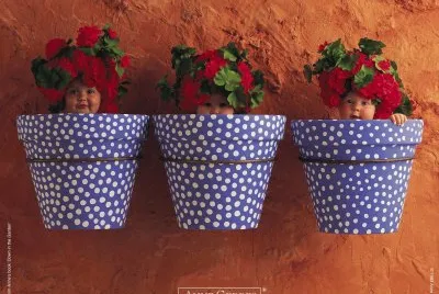 boccioli